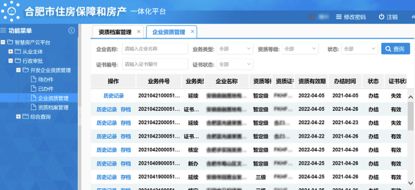 合肥市開發(fā)企業(yè)資質(zhì)管理系統(tǒng)開發(fā)完成 并正式上線運(yùn)行
